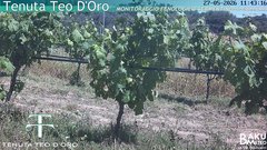 view from Teodoro on 2026-05-27
