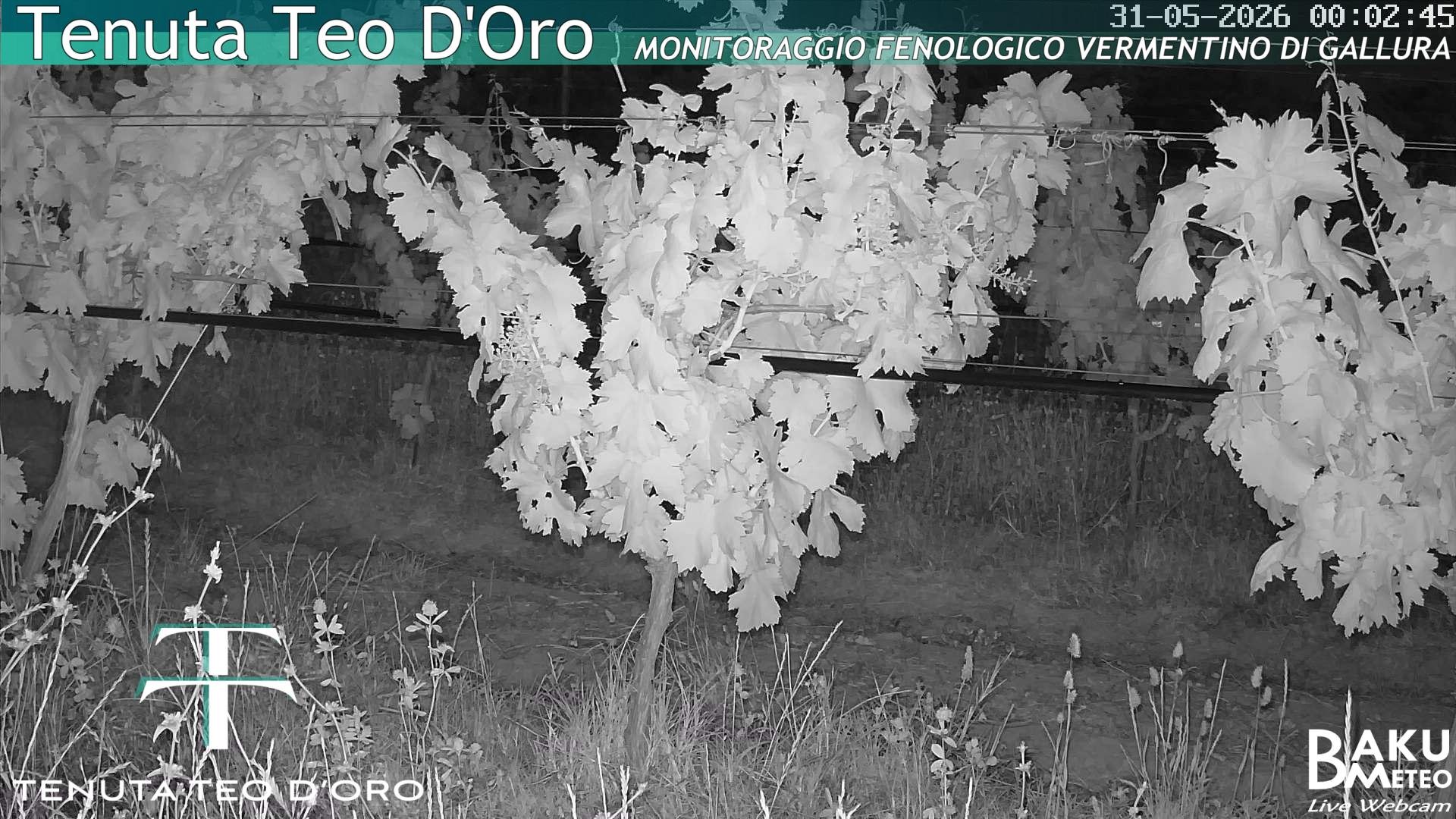 time-lapse frame, Teodoro webcam