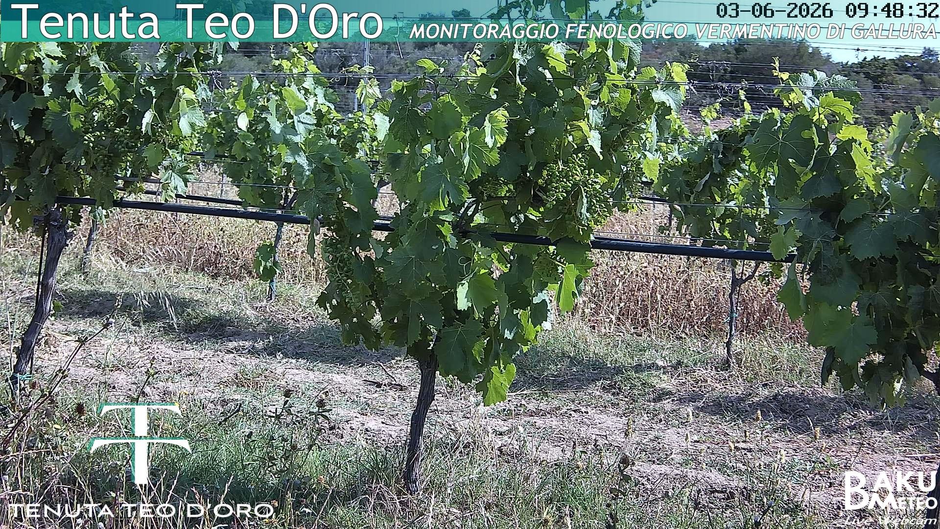 time-lapse frame, Teodoro webcam