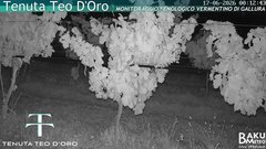 view from Teodoro on 2026-06-17