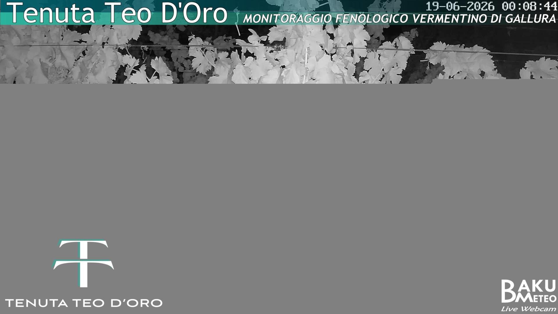 time-lapse frame, Teodoro webcam