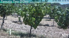 view from Teodoro on 2026-06-23
