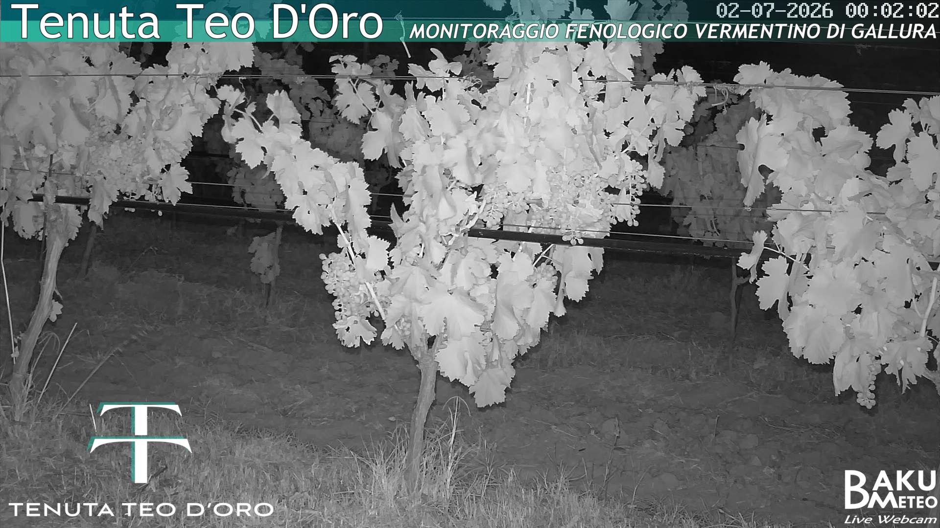 time-lapse frame, Teodoro webcam