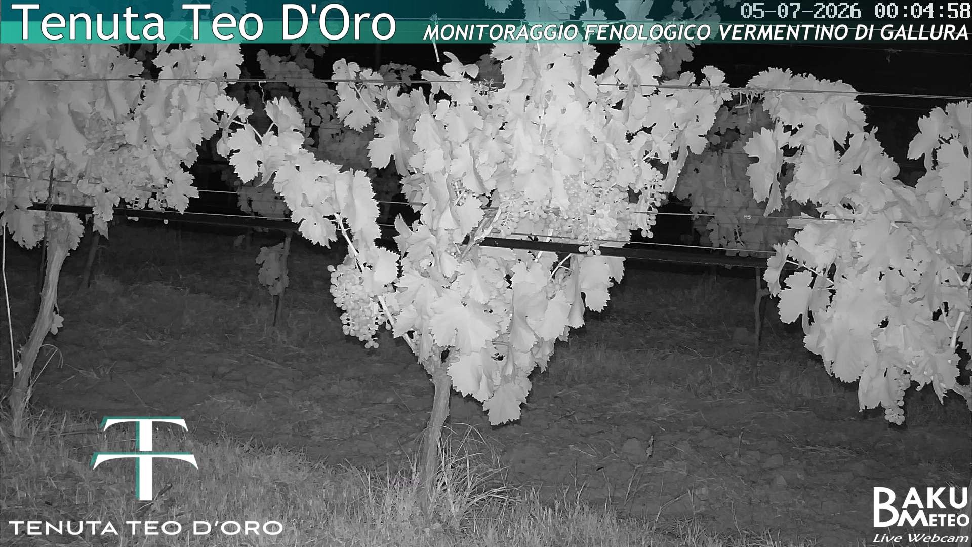 time-lapse frame, Teodoro webcam