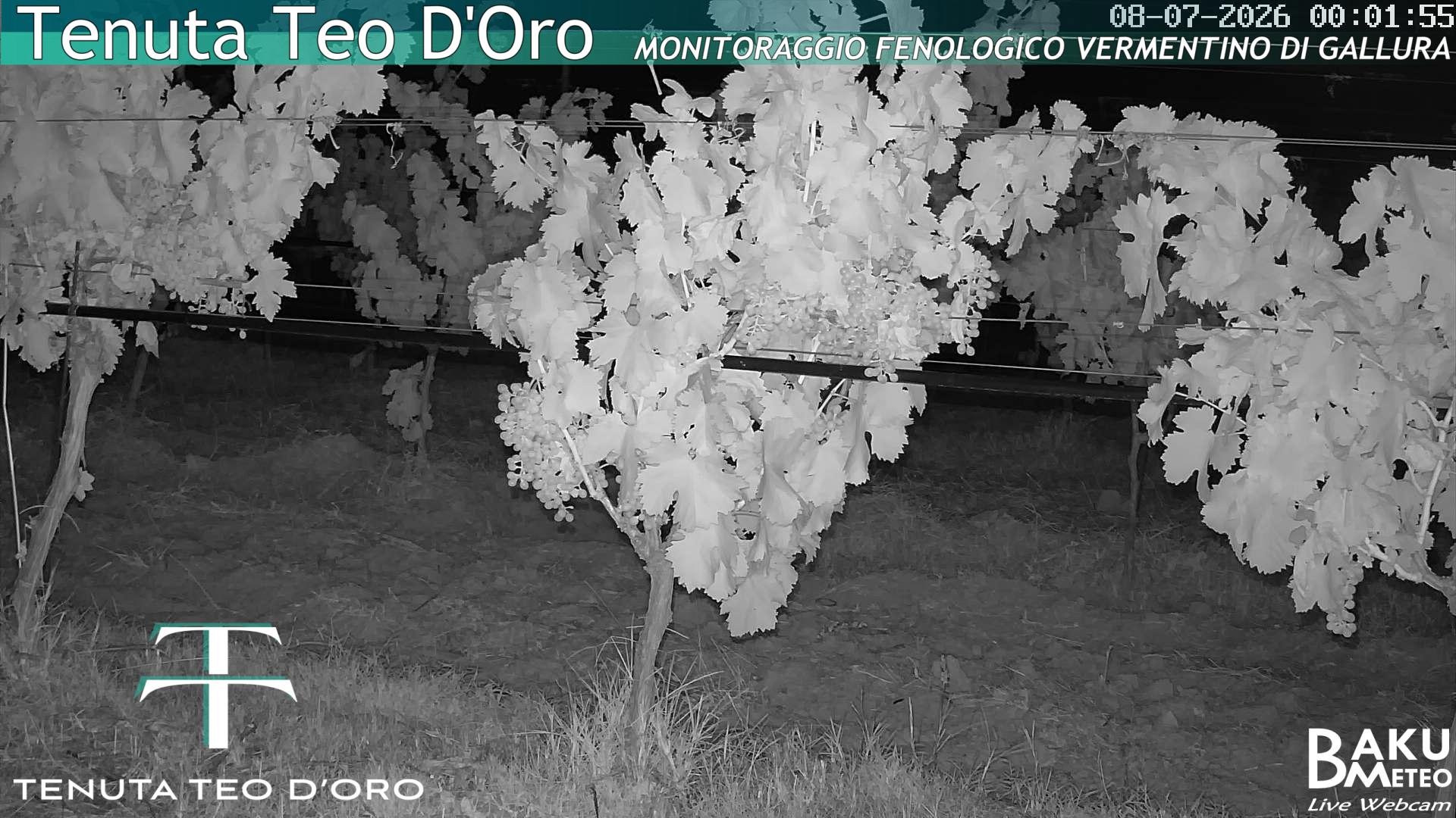 time-lapse frame, Teodoro webcam