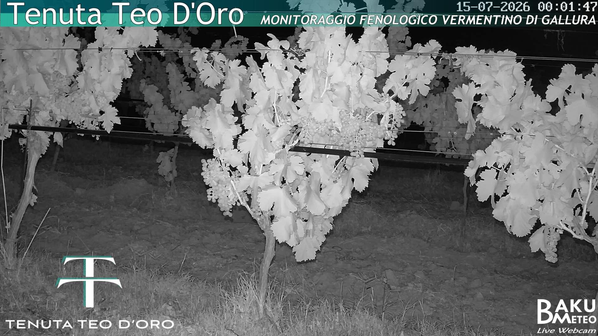 time-lapse frame, Teodoro webcam