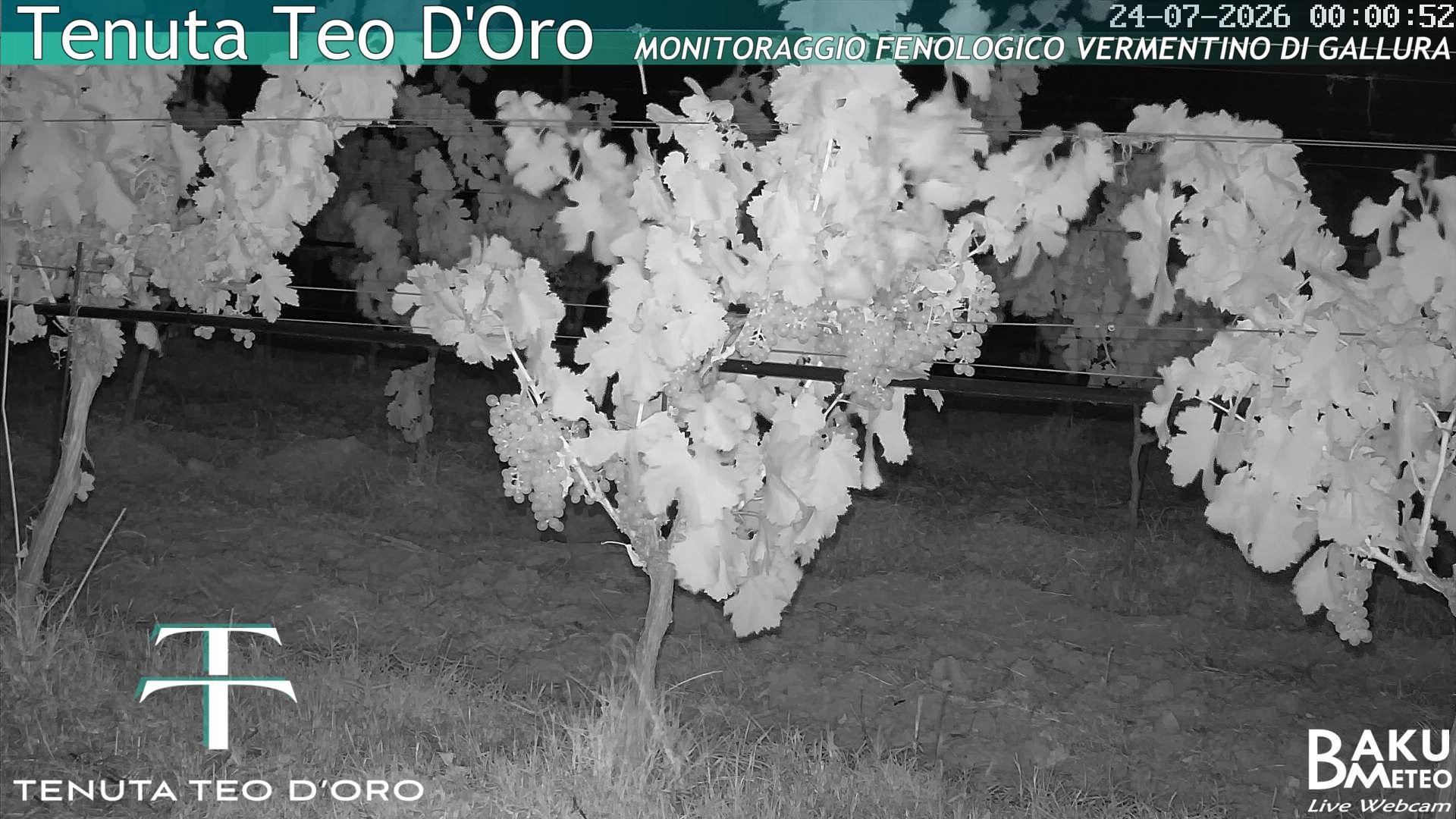 time-lapse frame, Teodoro webcam