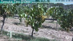 view from Teodoro on 2026-07-25