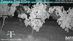 view from Teodoro on 2026-08-04