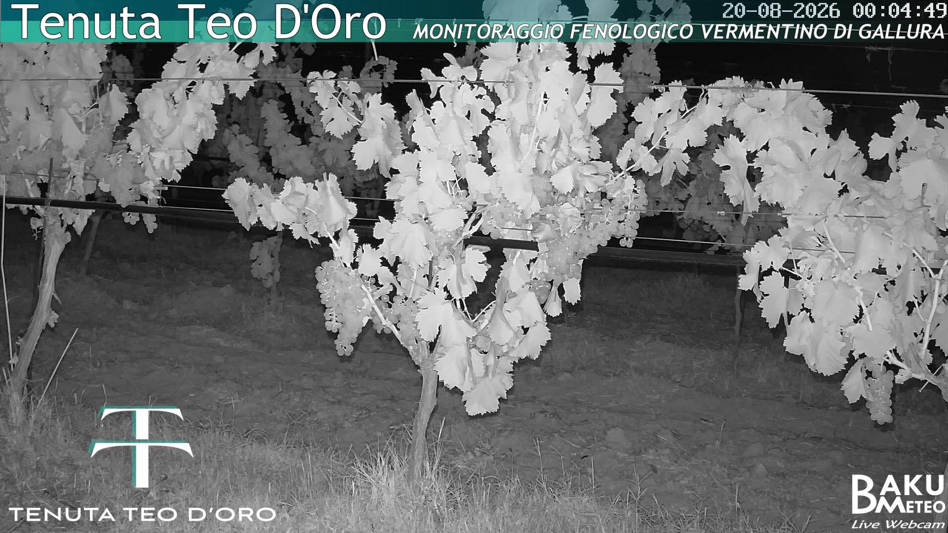 time-lapse frame, Teodoro webcam