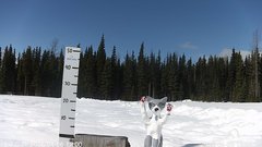 view from snowstump on 2026-04-06