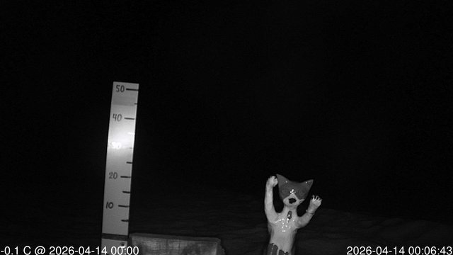 time-lapse frame, snowstump webcam