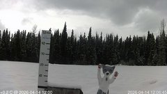 view from snowstump on 2026-04-14