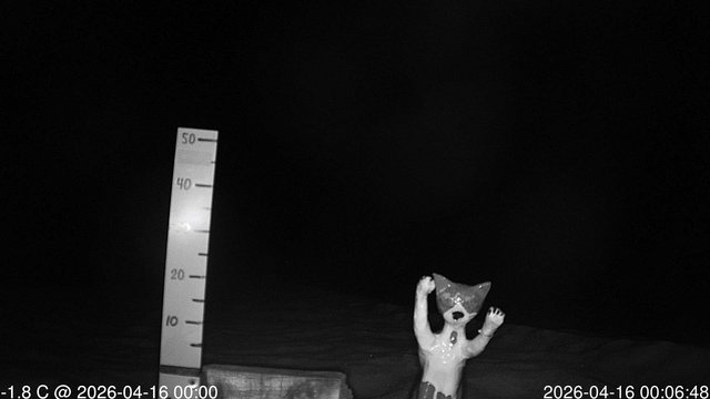 time-lapse frame, snowstump webcam