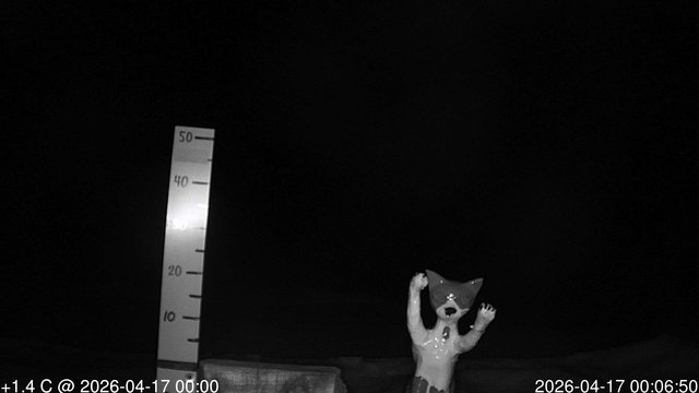 time-lapse frame, snowstump webcam