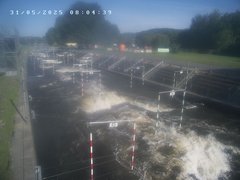 view from Troja - bottom on 2025-05-31