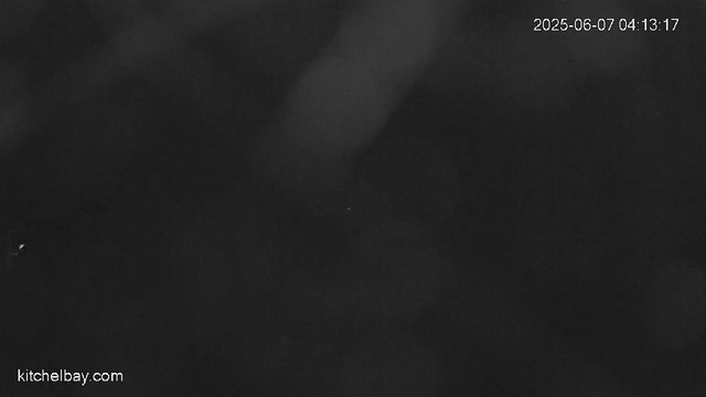 time-lapse frame, kitchelbay.com webcam