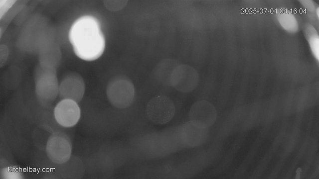 kitchelbay.com animated GIF