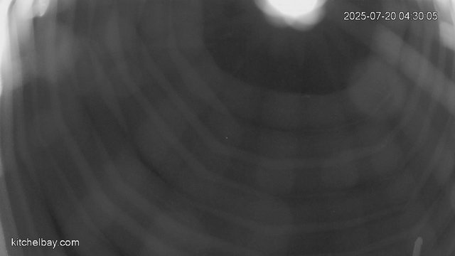 time-lapse frame, kitchelbay.com webcam