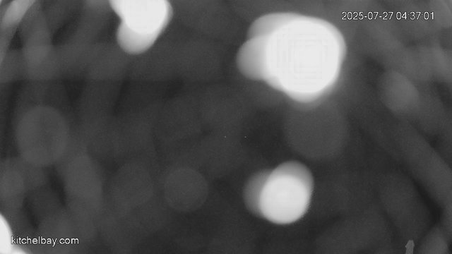 time-lapse frame, kitchelbay.com webcam