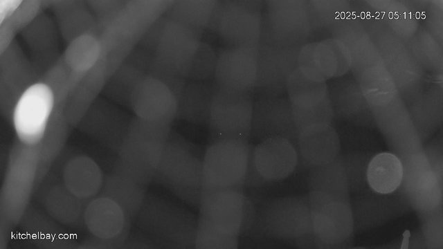 time-lapse frame, kitchelbay.com webcam