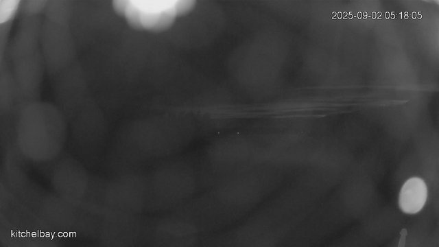 time-lapse frame, kitchelbay.com webcam