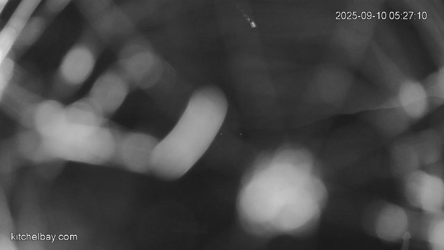 time-lapse frame, kitchelbay.com webcam