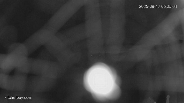 time-lapse frame, kitchelbay.com webcam