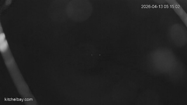 time-lapse frame, kitchelbay.com webcam