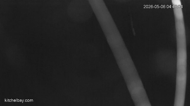 time-lapse frame, kitchelbay.com webcam