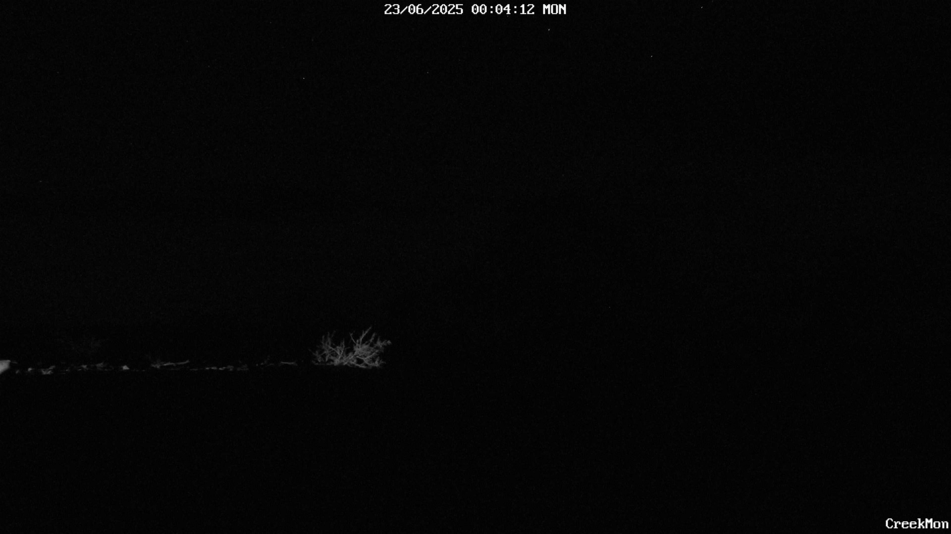 time-lapse frame, CreekCam West webcam