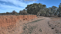 view from CreekCam West on 2025-07-03