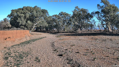 view from CreekCam West on 2025-07-04