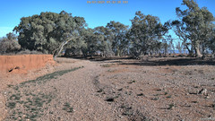 view from CreekCam West on 2025-07-04