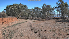 view from CreekCam West on 2025-07-04