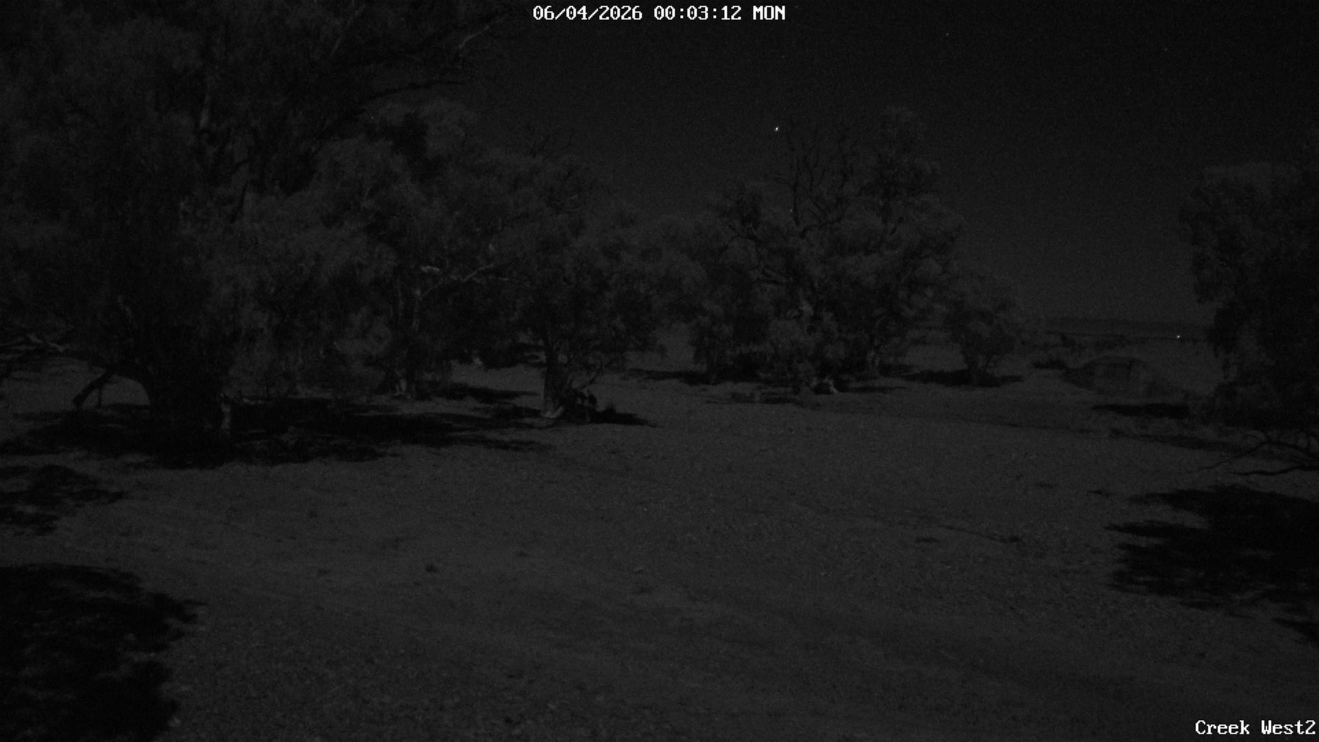 time-lapse frame, CreekCam West webcam