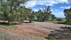 view from CreekCam West on 2026-04-10