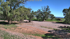 view from CreekCam West on 2026-04-16