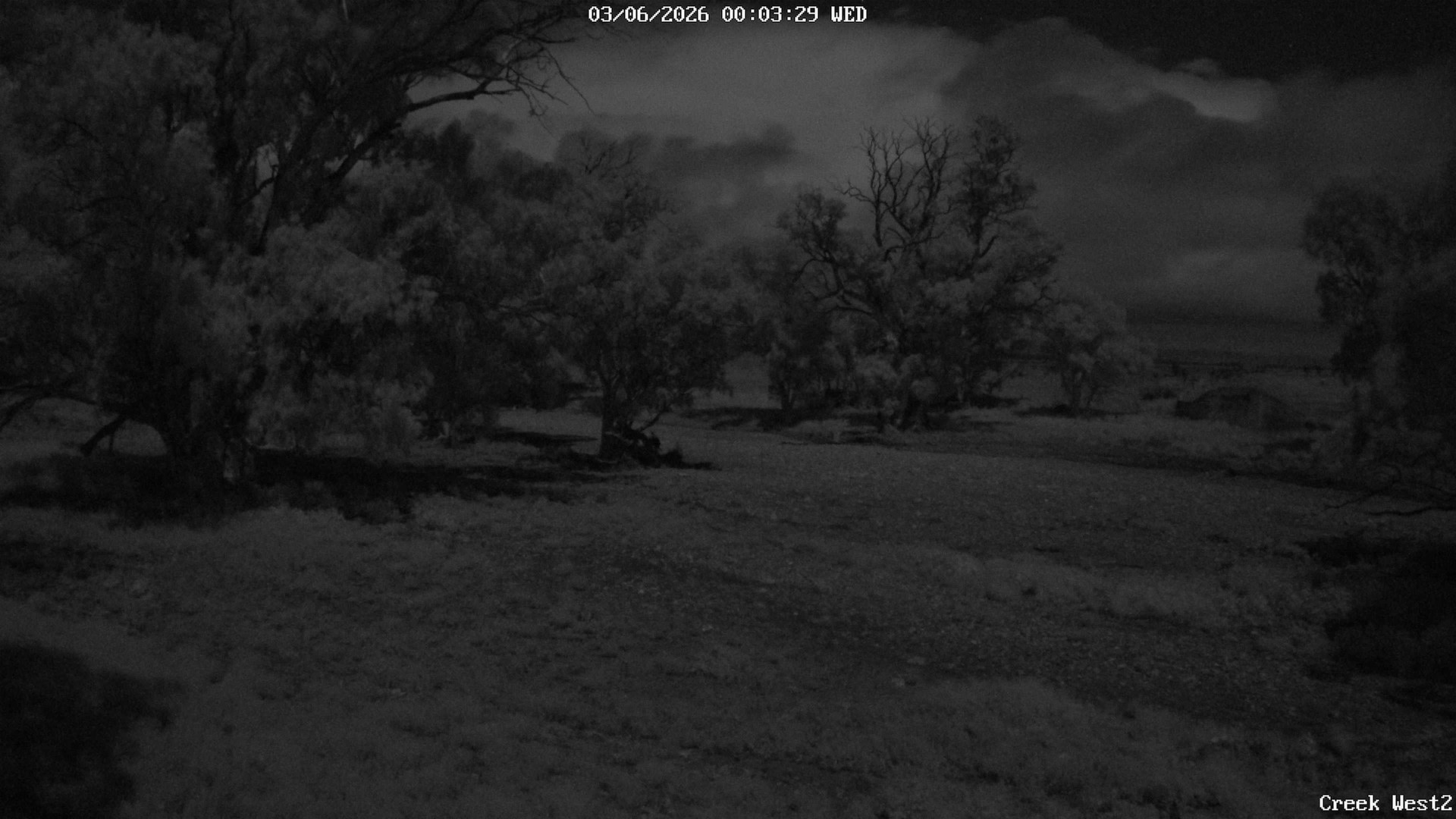 time-lapse frame, CreekCam West webcam