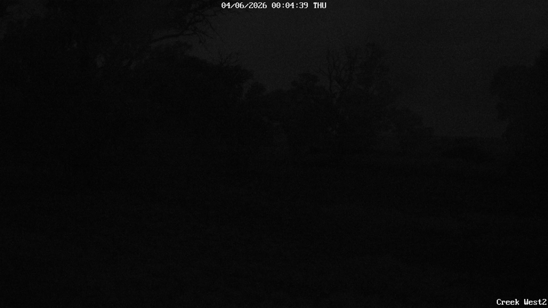 time-lapse frame, CreekCam West webcam