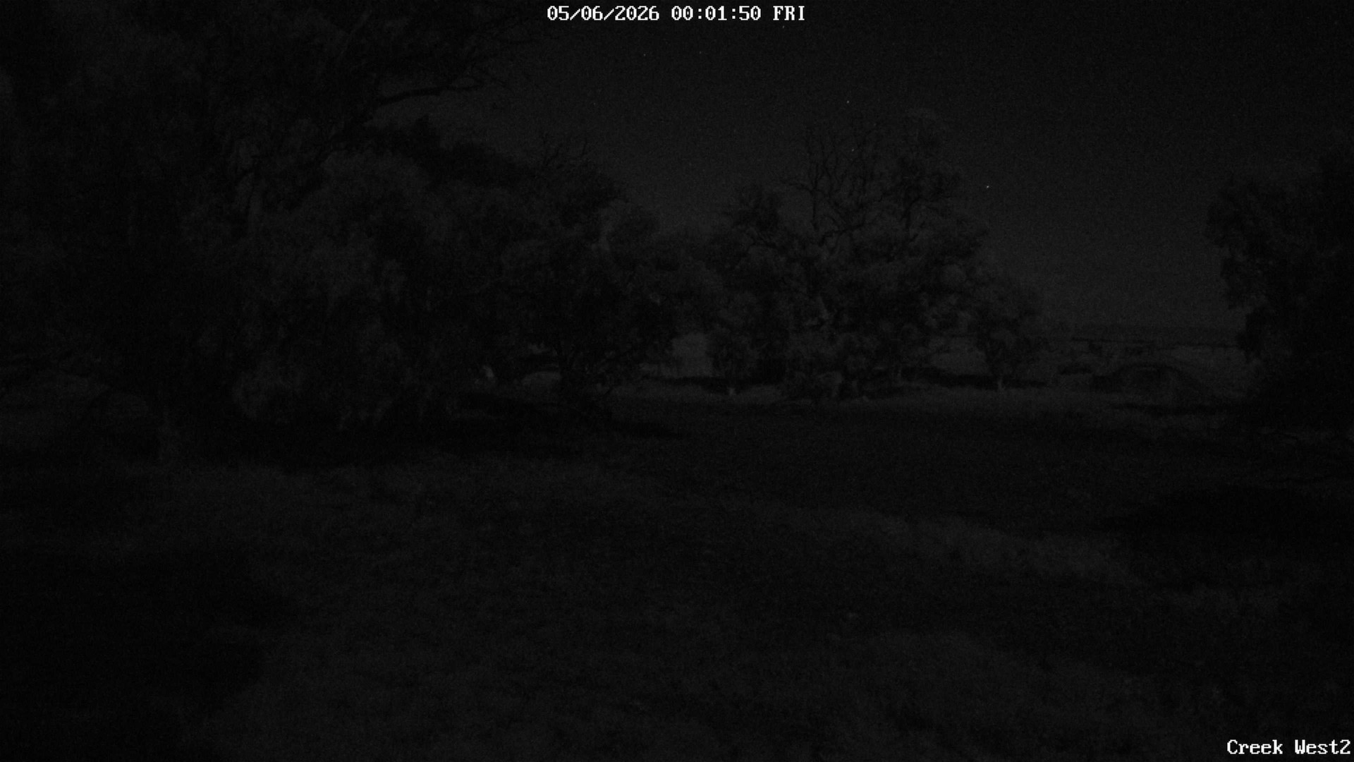 time-lapse frame, CreekCam West webcam