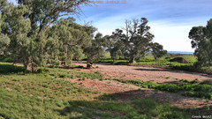 view from CreekCam West on 2026-06-11