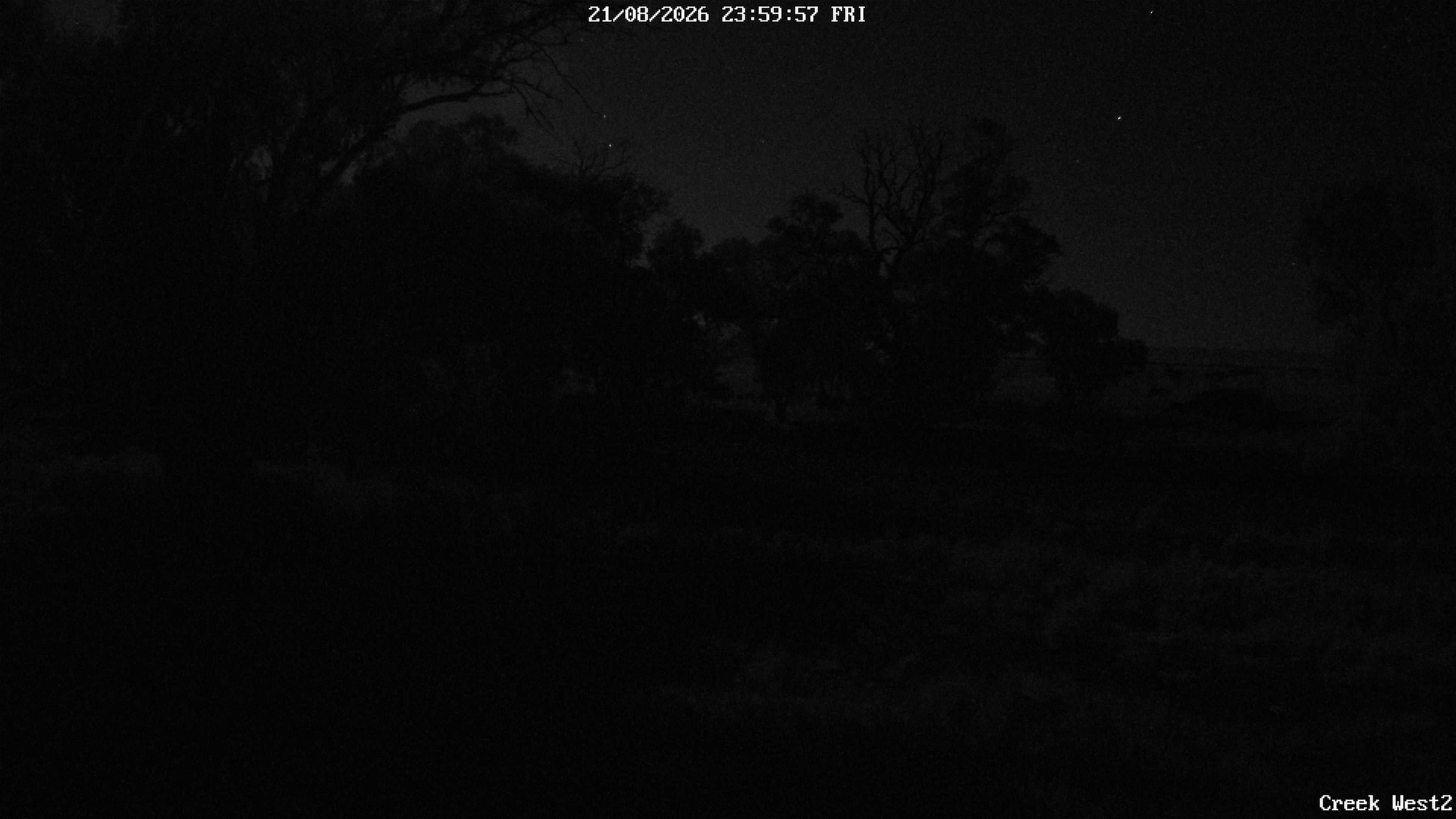 time-lapse frame, CreekCam West webcam