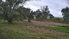 view from CreekCam West on 2026-08-24