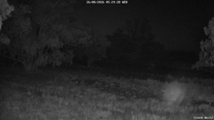 view from CreekCam West on 2026-08-26