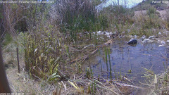 view from Pakoon Springs Stream Side on 2026-04-20