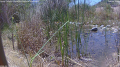 view from Pakoon Springs Stream Side on 2026-05-11