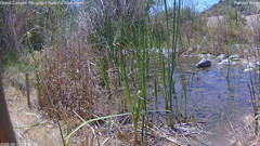 view from Pakoon Springs Stream Side on 2026-05-13