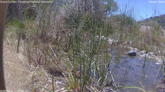 view from Pakoon Springs Stream Side on 2026-05-31