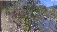 view from Pakoon Springs Stream Side on 2026-06-02